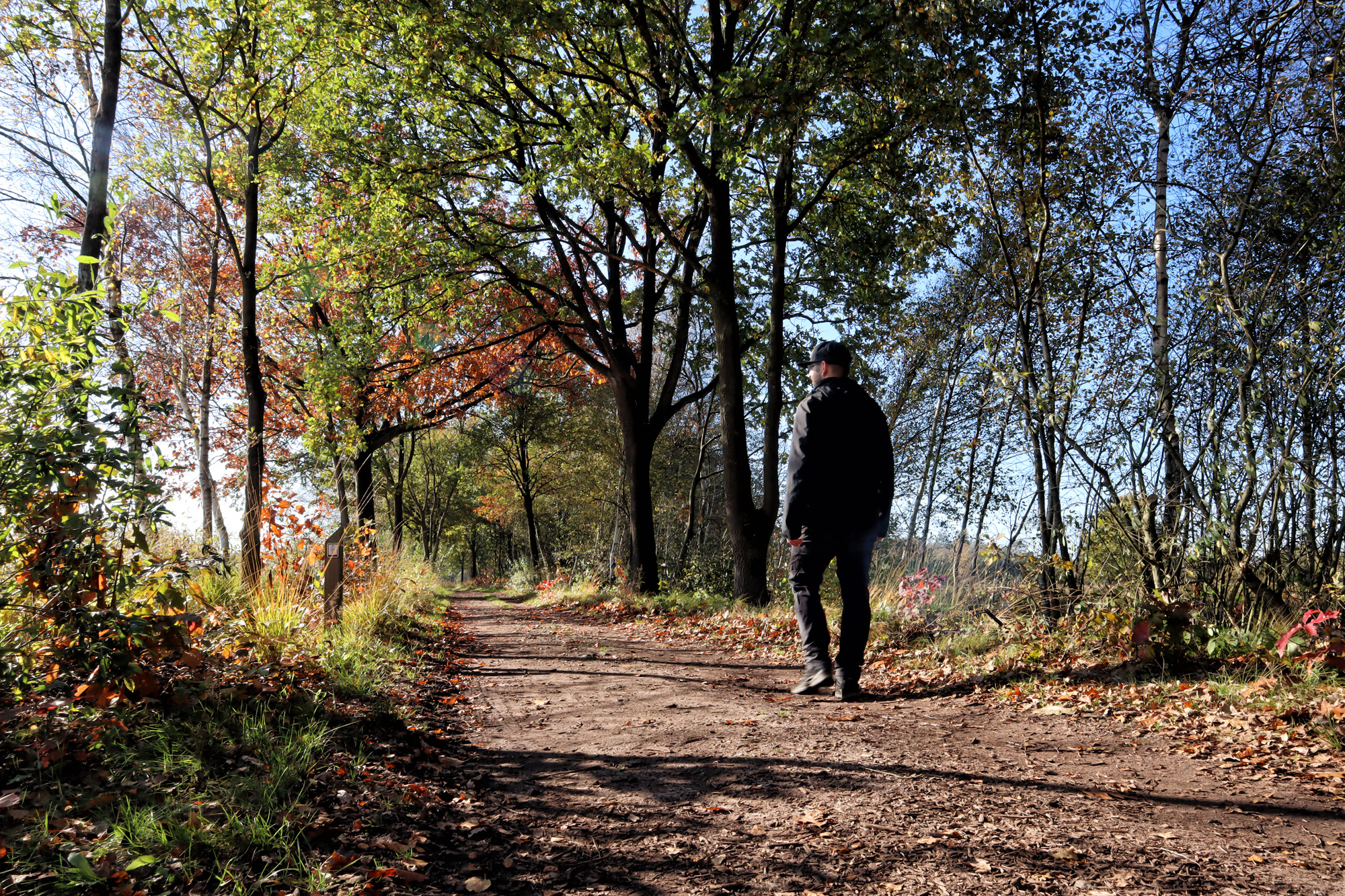 Walking path in the Netherlands